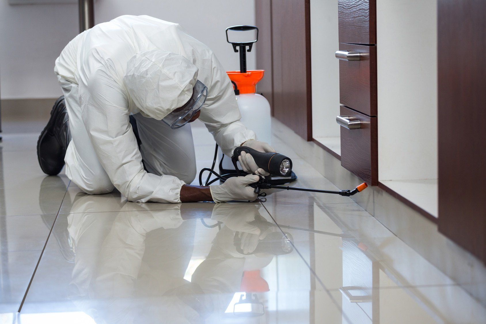 German Egypt Control Pest Control Company Phone Number 01066888859