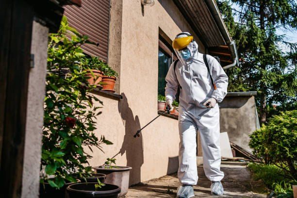 Pest Control Company in El Wayli 01066888859 – 55% Off