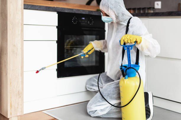 Pest Control Company in El Mandara, Alexandria 01066888859 with 55% Off, German Egypt Control