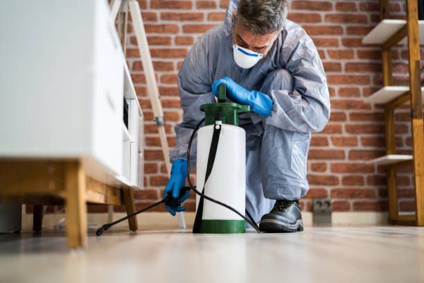 Pest Control Company in Assiut 01066888859 – 55% Off