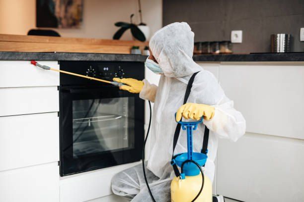 Cockroach Control 01066888859 – 40% Off