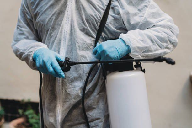 Pest Control Company in El Rehab 01066888859 55% Off