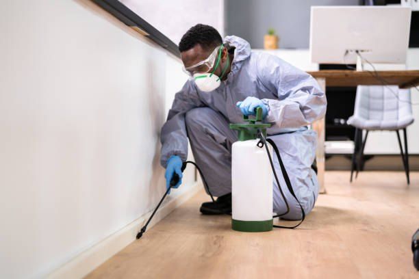 Pest Control Company in Sheikh Zayed 01066888859 with 55% Off