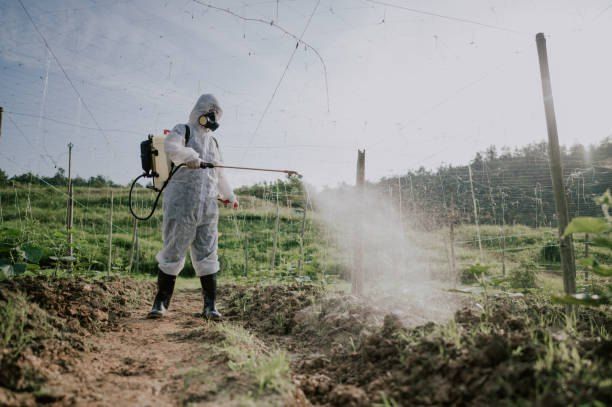 Pest Control Company in Fayoum 01066888859 – 55% Off