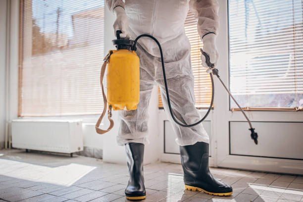 German Egypt Control Pest Control in El Rehab 01066888859