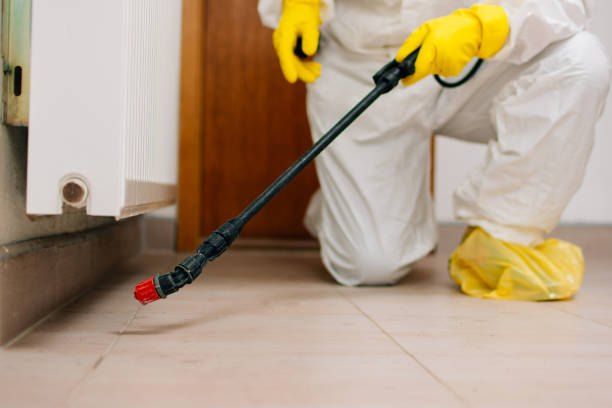 Eliminating Insects Without Chemical Pesticides 01066888859 40% Off