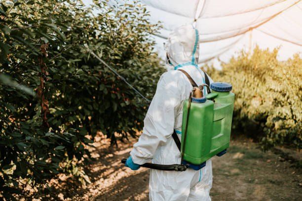 Pest Control Company in Palm Hills October 01066888859 – 55% Off