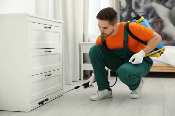Pest Control Company in Abdeen 01066888859 55% Off
