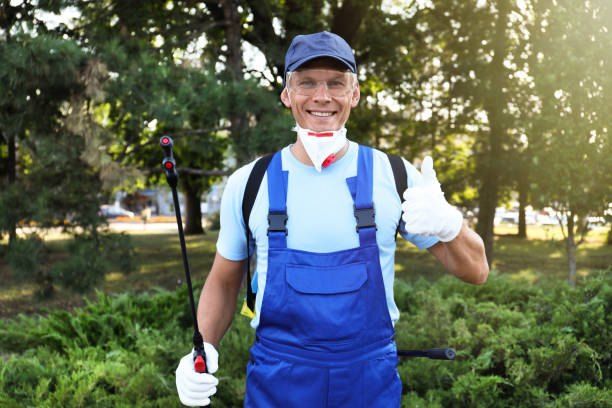 Pest Control Company in Kafr Abdo, Alexandria 01066888859 – 55% Off