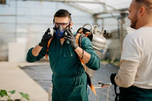 Pest control company in Ard El Golf  01066888859 55% off