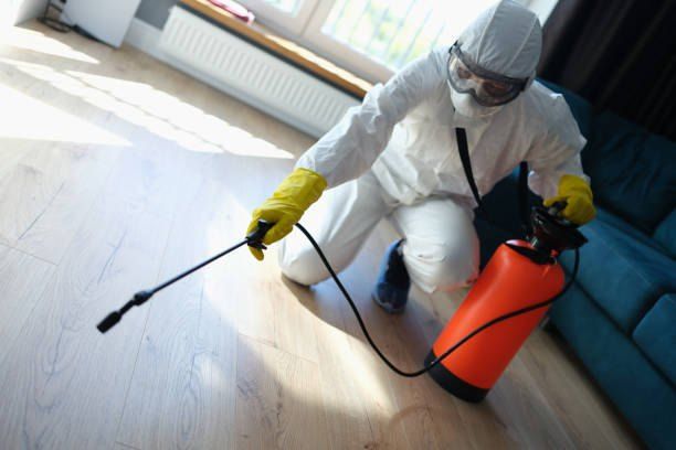 Bed Bug Extermination Company 01066888859 With 40% Off