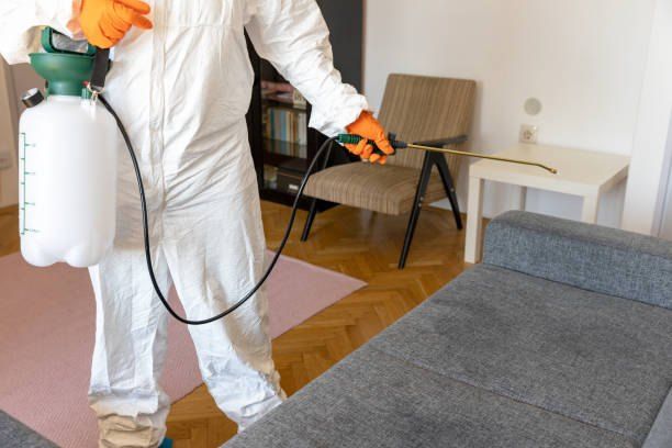 Insect extermination company near me 01066888859