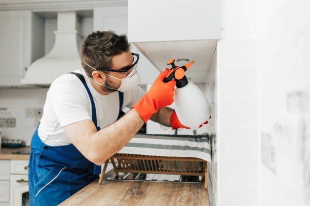 Pest Control Company in Sohag 01066888859 55% Off
