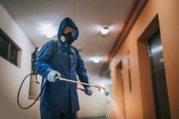 Pest Control Company in Cairo Festival City 01066888859 55% Off