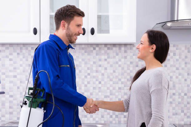Pest Control Company in Mountain View October 01066888859 - 55% Off