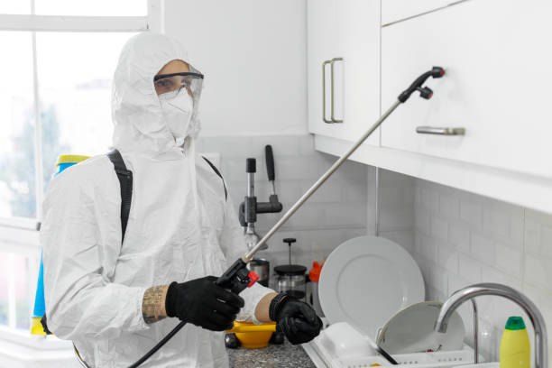 Pest Control Company in Mountain View Fifth Settlement 01066888859 55% Off