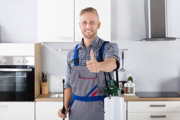 Insect Extermination Company 01066888859 – 40% Off
