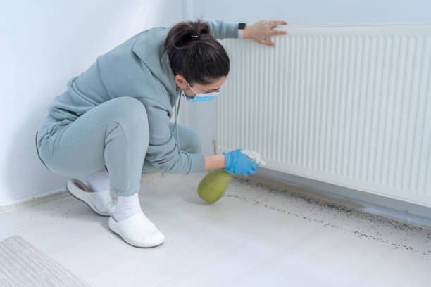 Cockroach Extermination 01066888859 - 40% Off