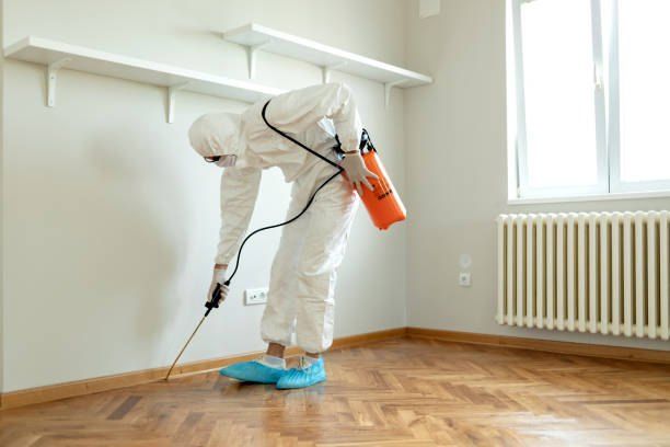 Specialised Pest Control Company 01066888859 – 40% Off