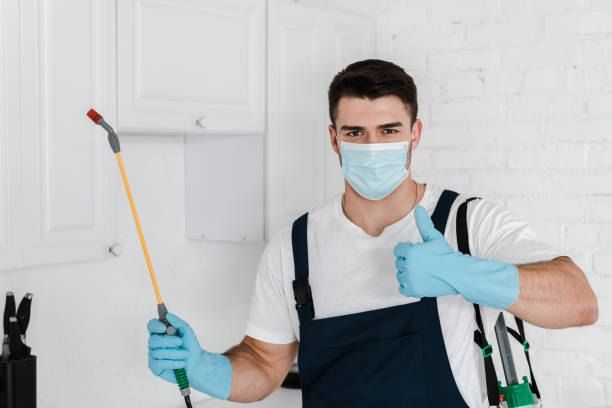 Cockroach Spraying Company 01066888859 – 40% Off – German Egypt Control