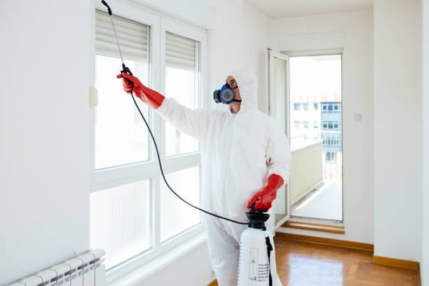 Insect Spraying Company 01066888859 – 40% Off