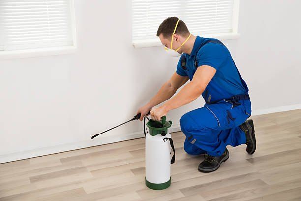 Pest Control Company Near Me 01066888859