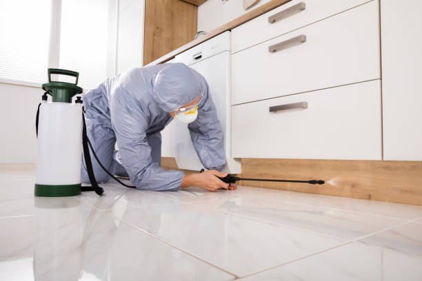 Pest Control 01066888859 with 40% Off - German Egypt Control Pest Control