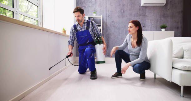 Affordable Pest Control 01066888859 with 40% Off
