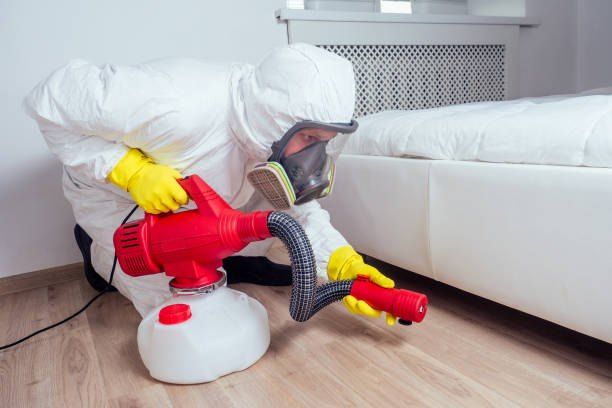 German Egypt Control Bed Bug Control Company in El Rehab 01066888859