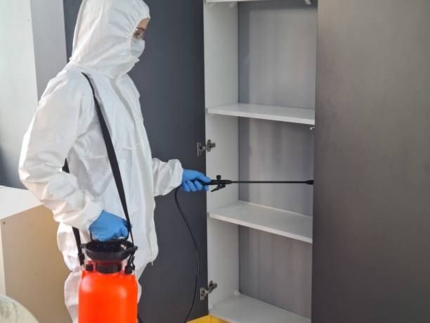 Bed bug control 01066888859 with 40% off