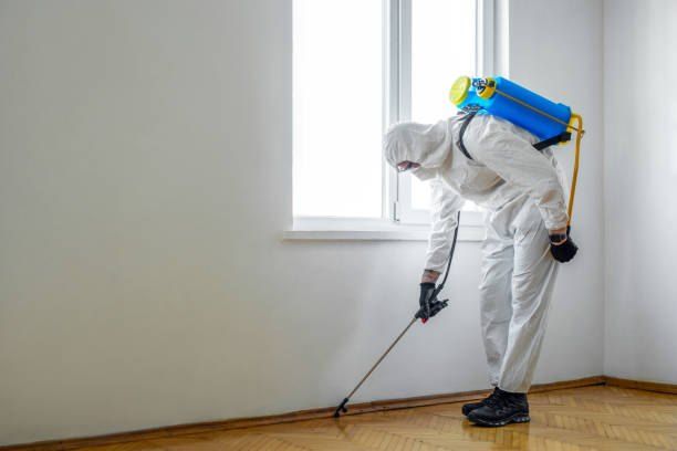Pest control company in Mokattam using the latest international spraying techniques