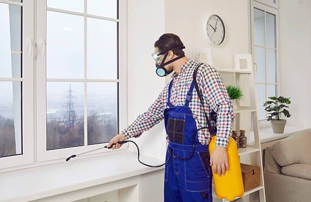 German Egypt Control Bed Bug Control in Fifth Settlement 01066888859