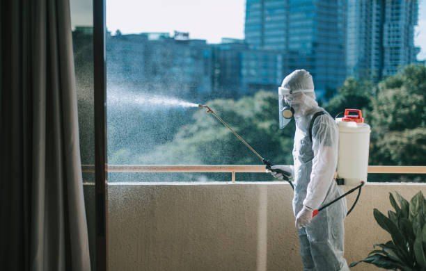 German Egypt Control Cockroach Control in El Rehab 01066888859