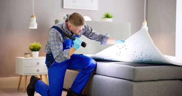 Bed Bug Control Company in El Rehab 01066888859