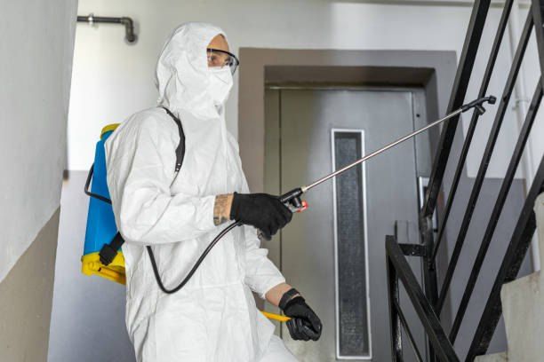 Cockroach Control Company in El Rehab 01066888859