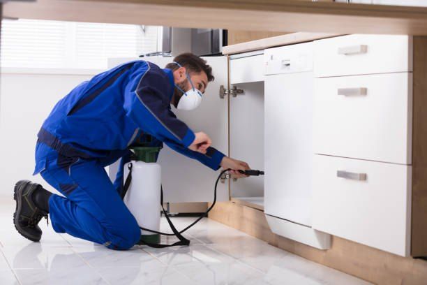 Pest Control Company in El Zeitoun 01066888859 – 55% Off