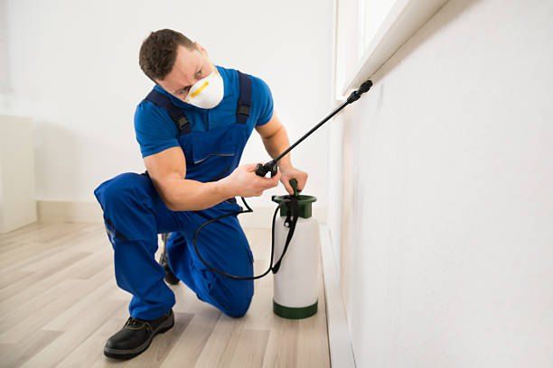 Insect Extermination Company 01066888859 with 40% Off