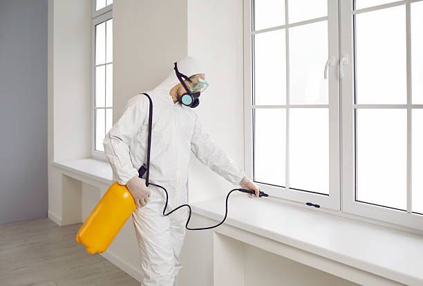 Pest Control Company in Maadi with the Lowest Prices and Best Offers