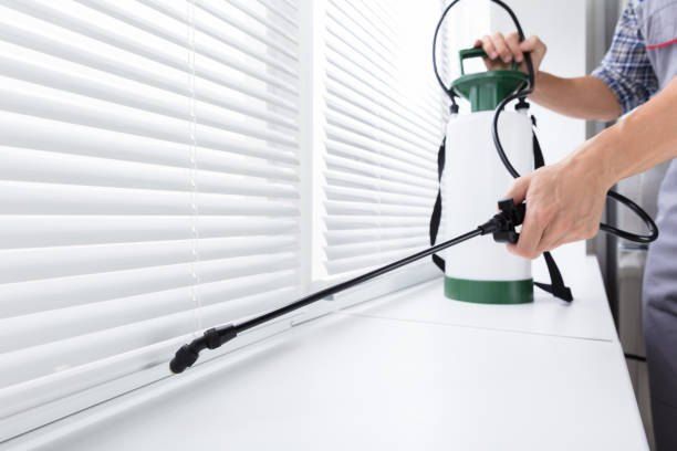 Pest Control Company in Ain Sokhna 01066888859 – 55% Off