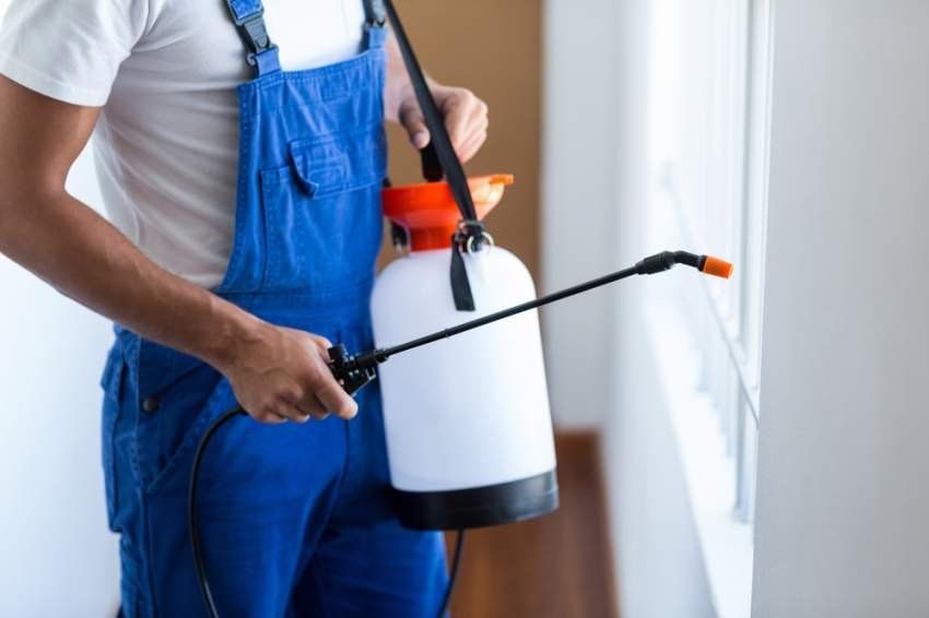 Bed bug extermination company number 01066888859