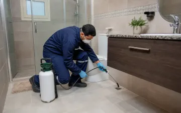 Silverfish control